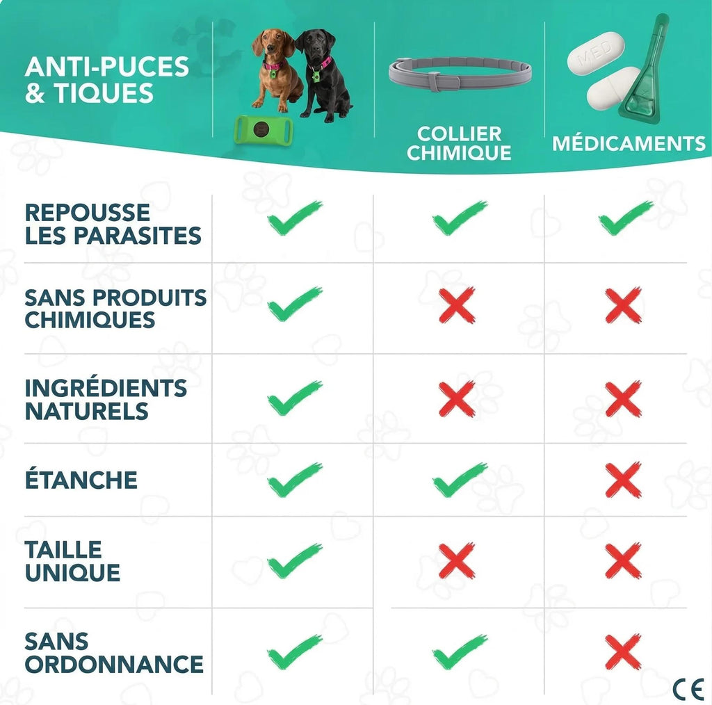 Schutzanhänger für Hunde gegen Flöhe & Zecken – 12 Monate natürlicher Schutz